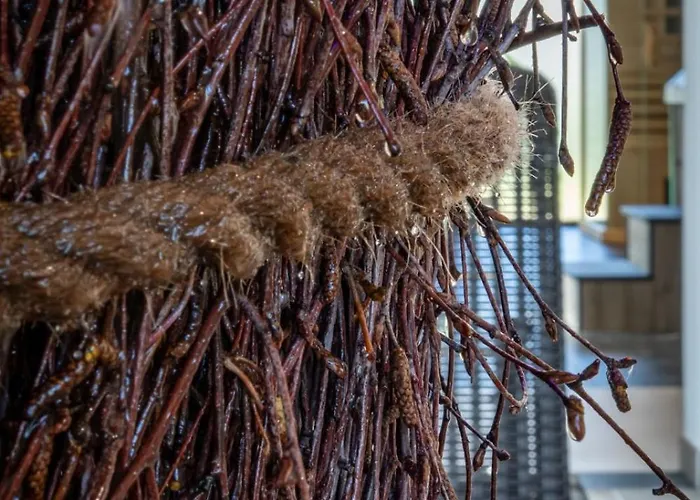 Belle View 315 * Szklarska Poreba